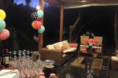 para-fiestas